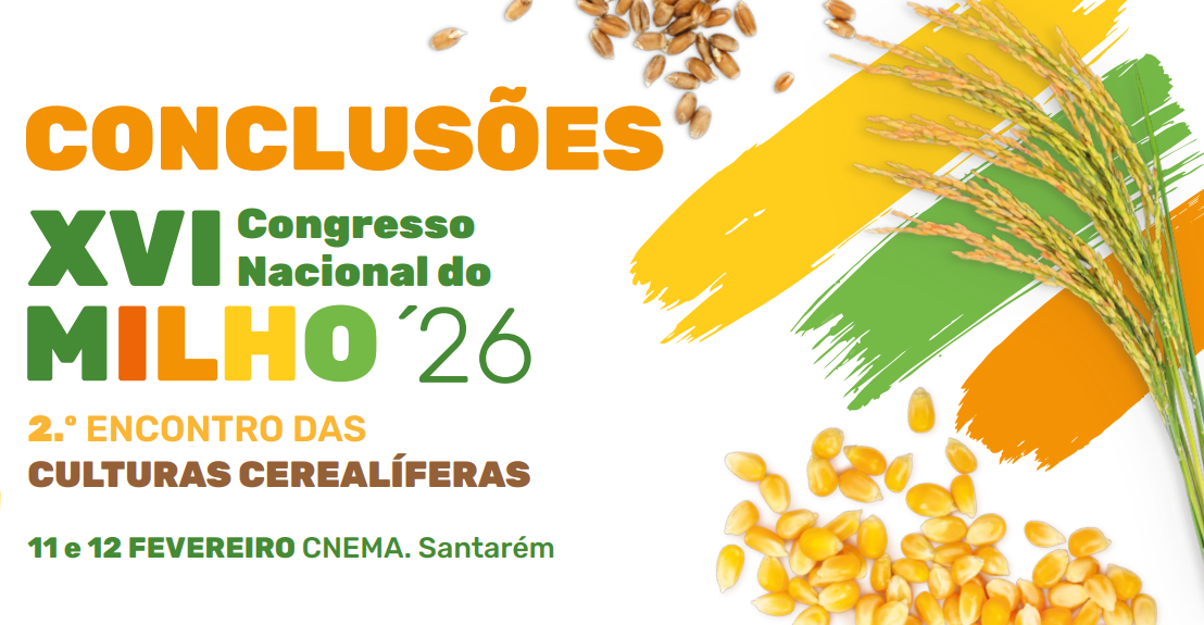 cabecalho newsletter