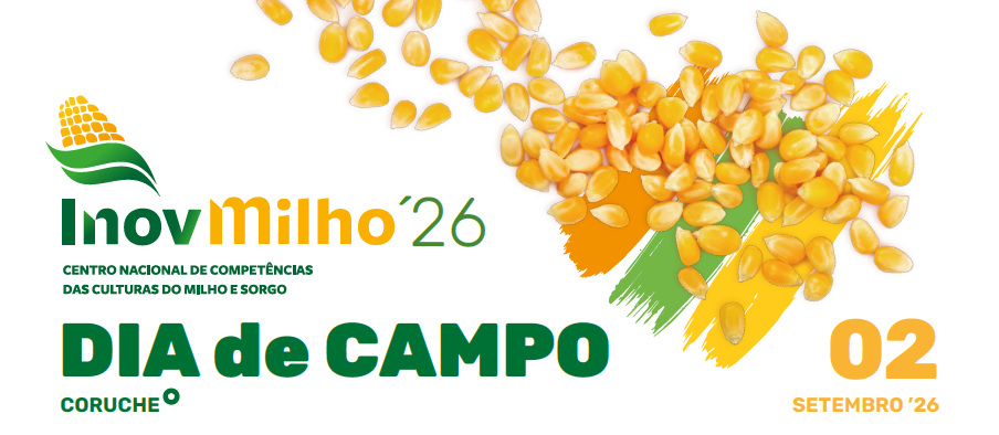Dia de Campo 2026