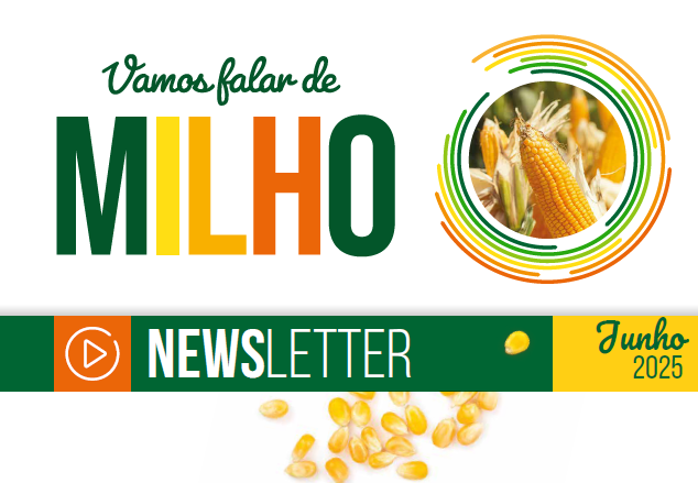 cabecalho newsletter vamos falar de milho