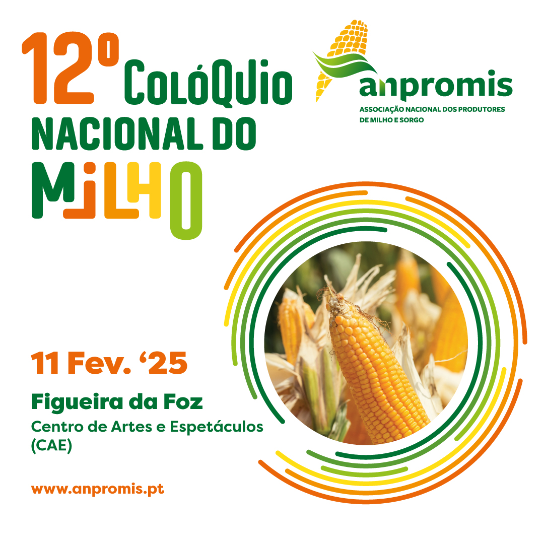 instagram 12 coloquio